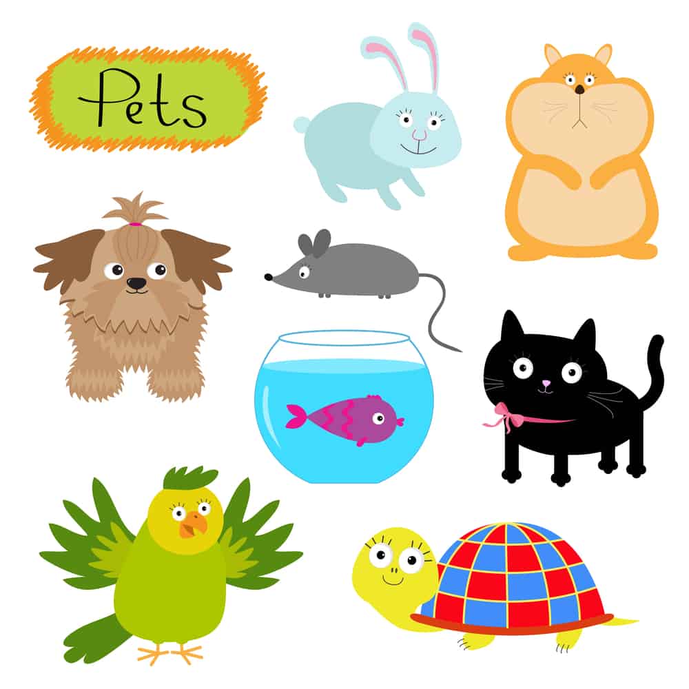 Finding the Right Pet - Becoming a Pet Parent